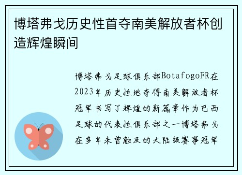 博塔弗戈历史性首夺南美解放者杯创造辉煌瞬间
